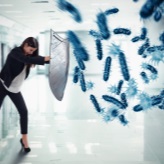 Baktérie a antibiotiká | Serafin byliny