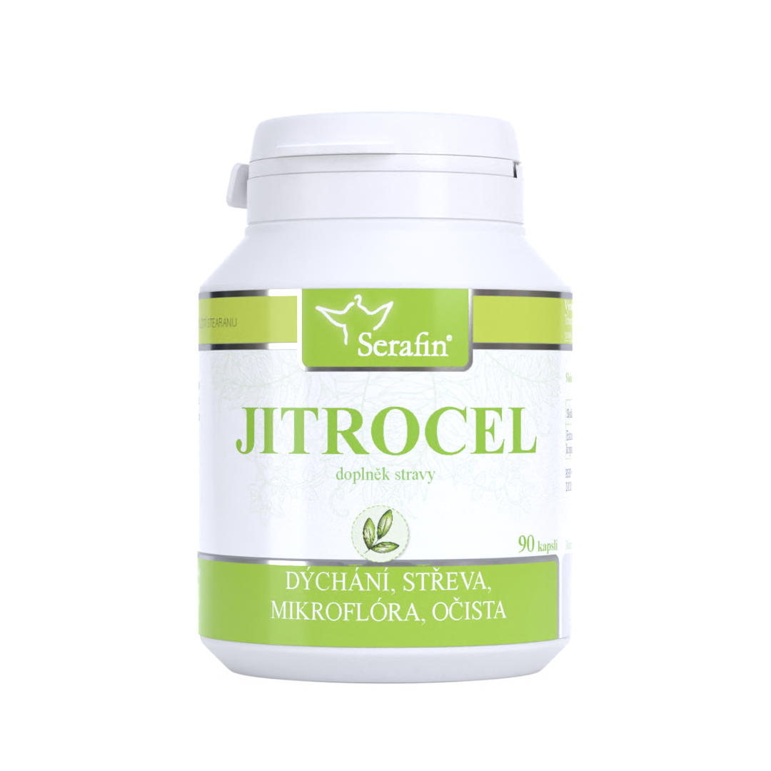 Jitrocel | Serafin byliny