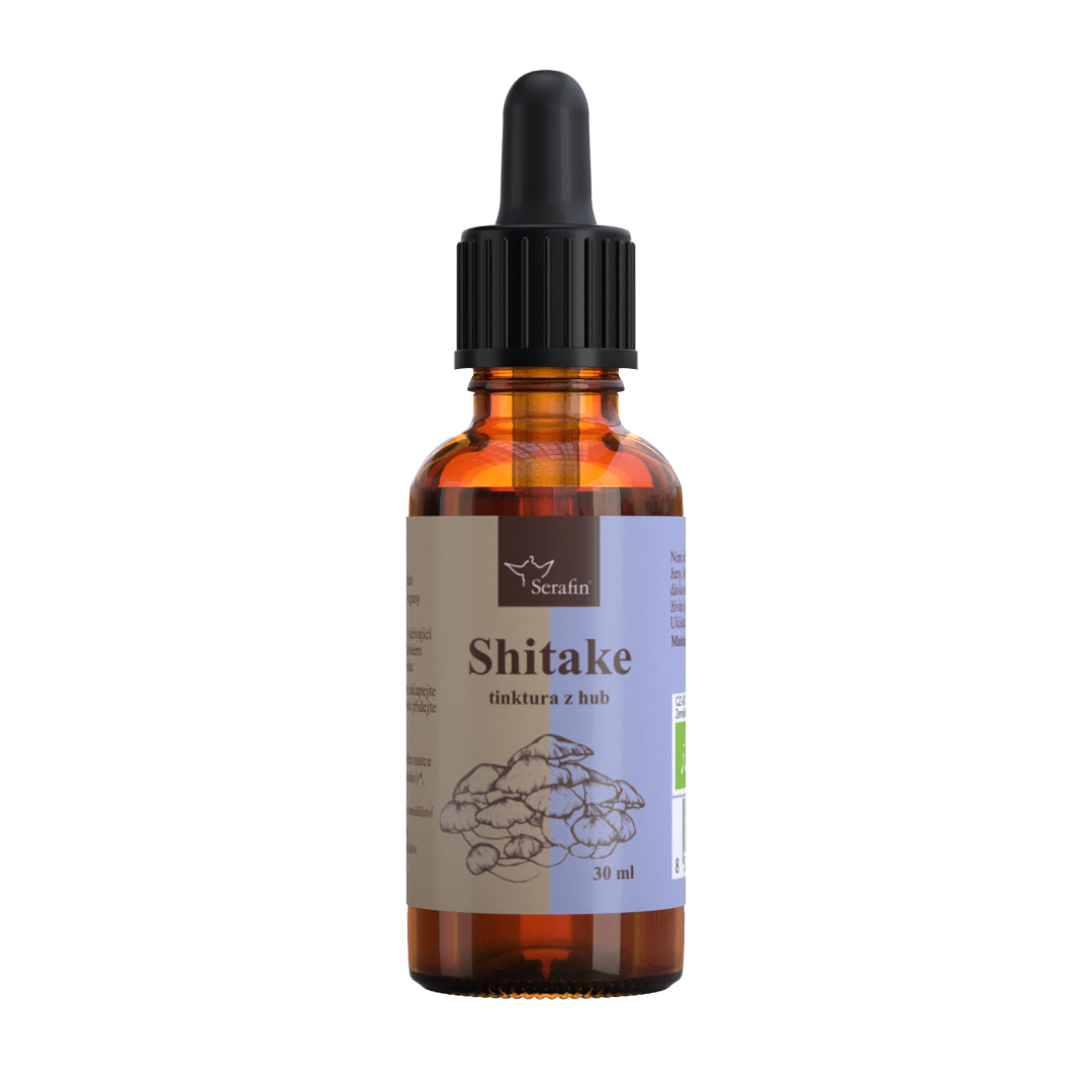 Shitake BIO – tinktúra z húb | Serafin byliny