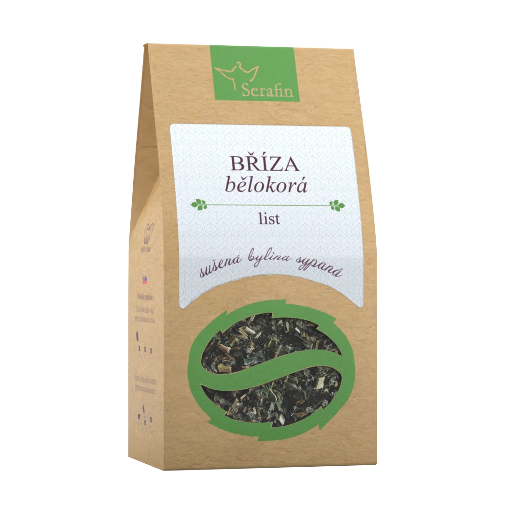 Breza biela list | Serafin byliny