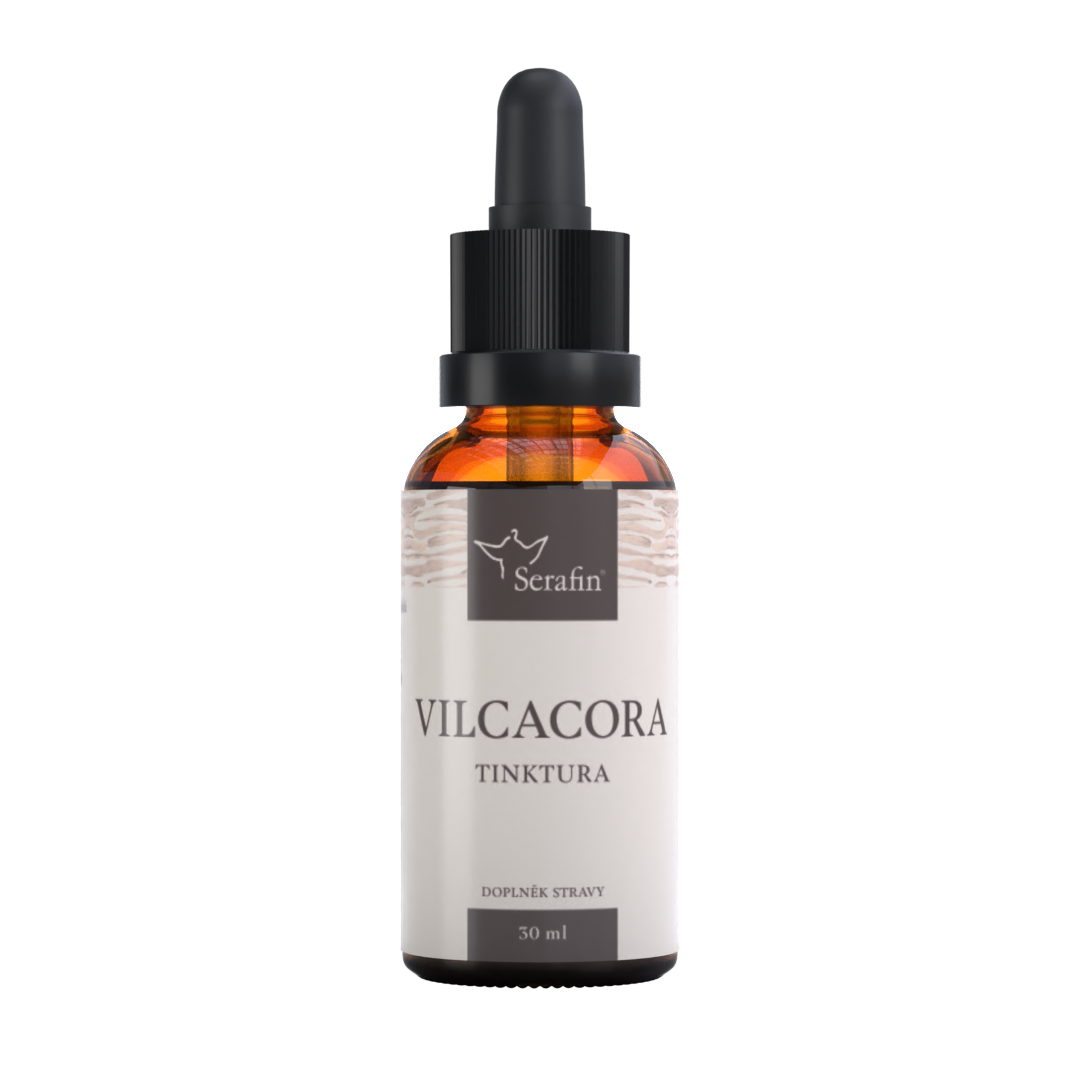 Vilcacora - posvätná rastlina Inkov | Serafin byliny