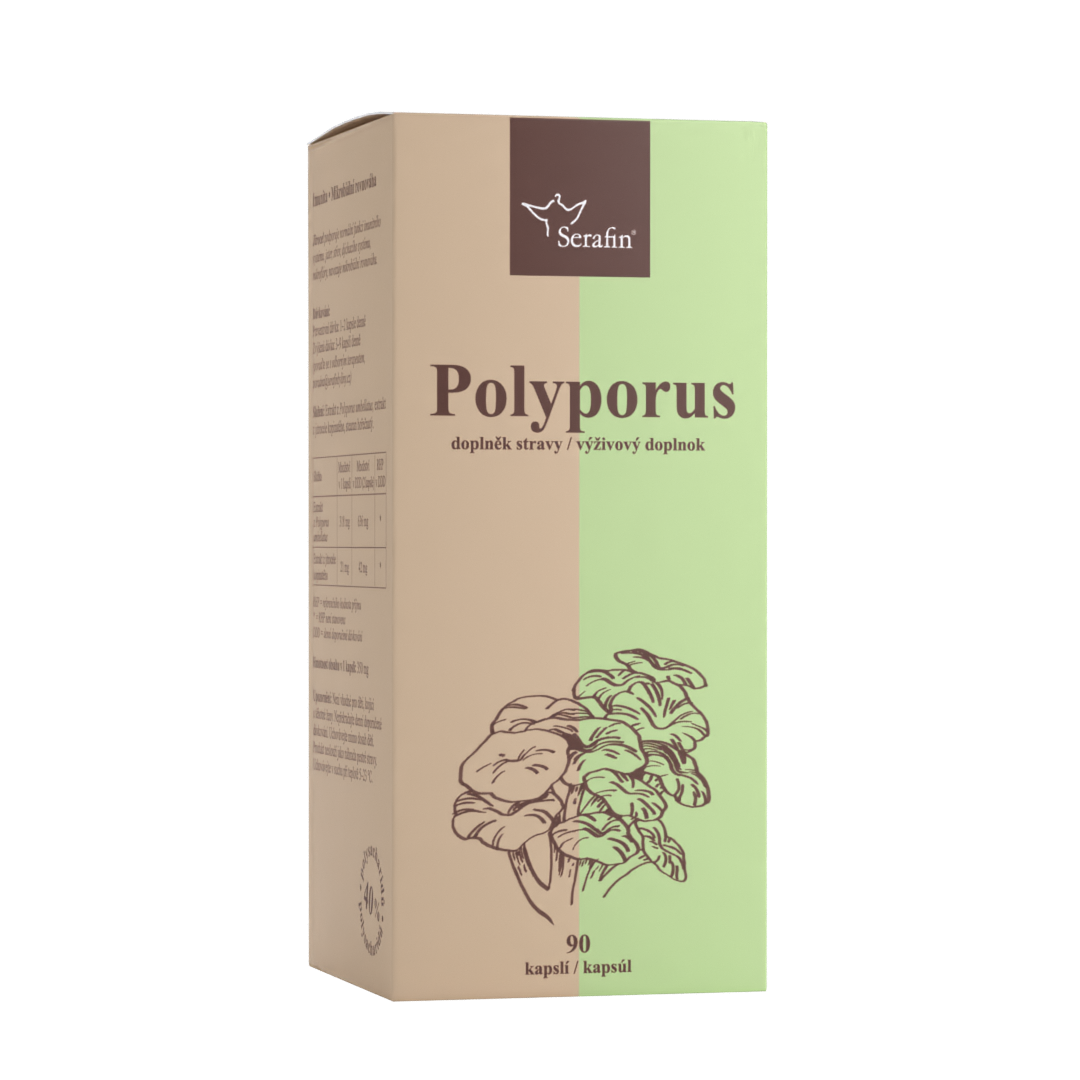 Polyporus | Serafin byliny