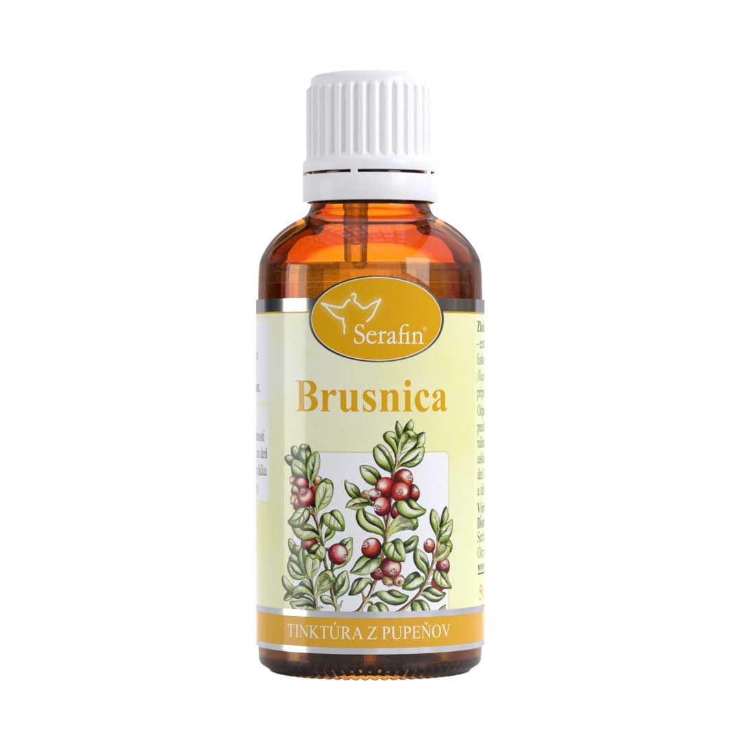 Brusnica – tinktúra z púčikov | Serafin byliny