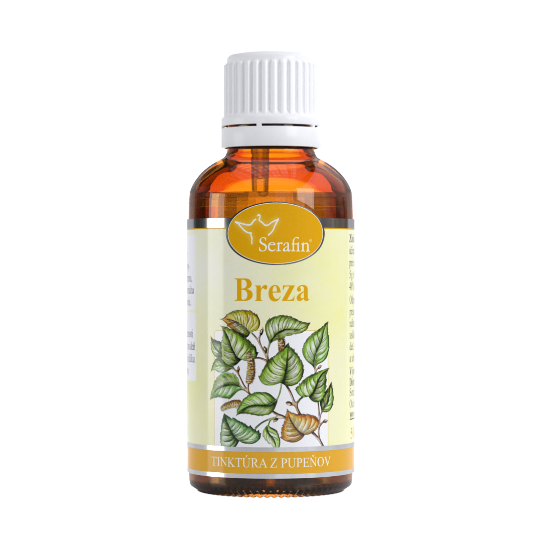 Breza – tinktúra z púčikov | Serafin byliny