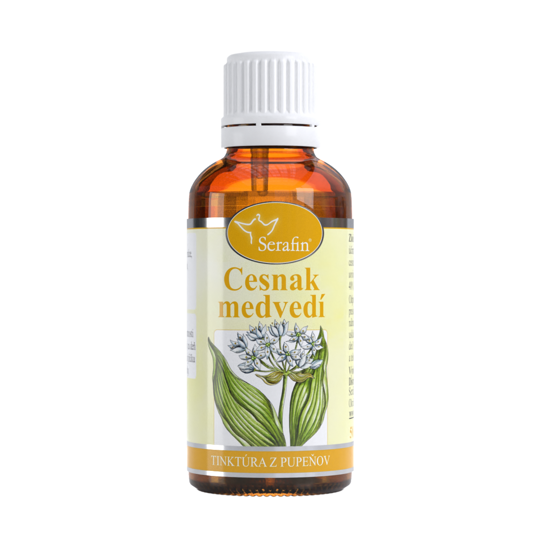 Cesnak medvedí – tinktúra z púčikov | Serafin byliny