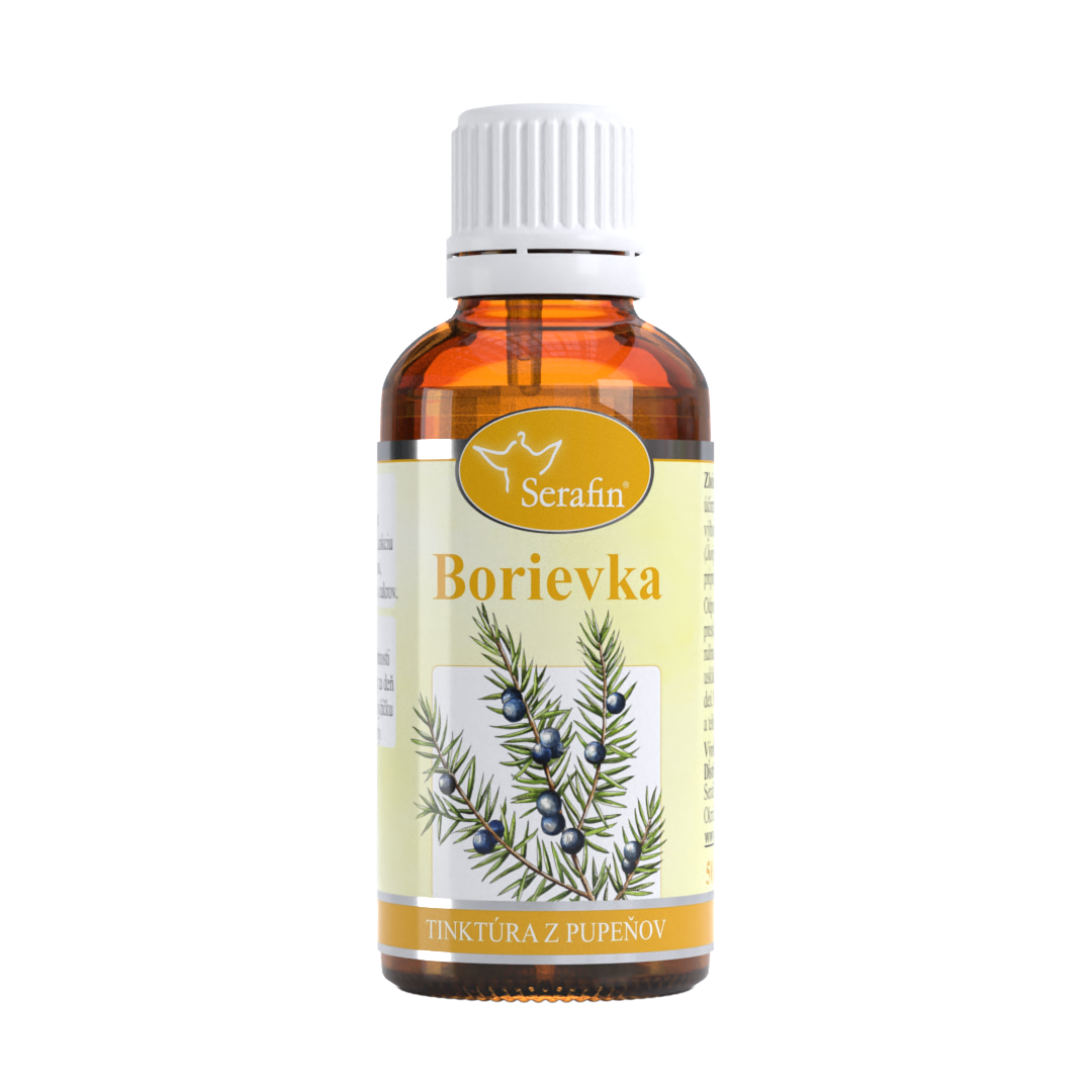 Borievka – tinktúra z púčikov | Serafin byliny