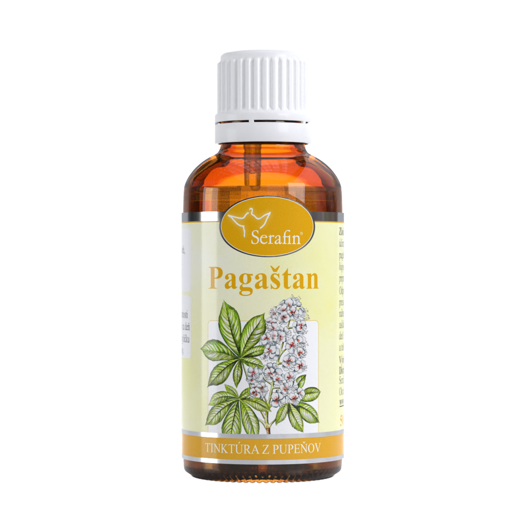 Pagaštan – tinktúra z púčikov | Serafin byliny