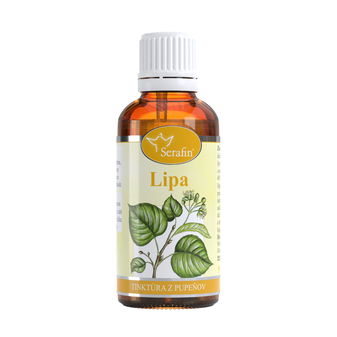 Lipa – tinktúra z púčikov | Serafin byliny