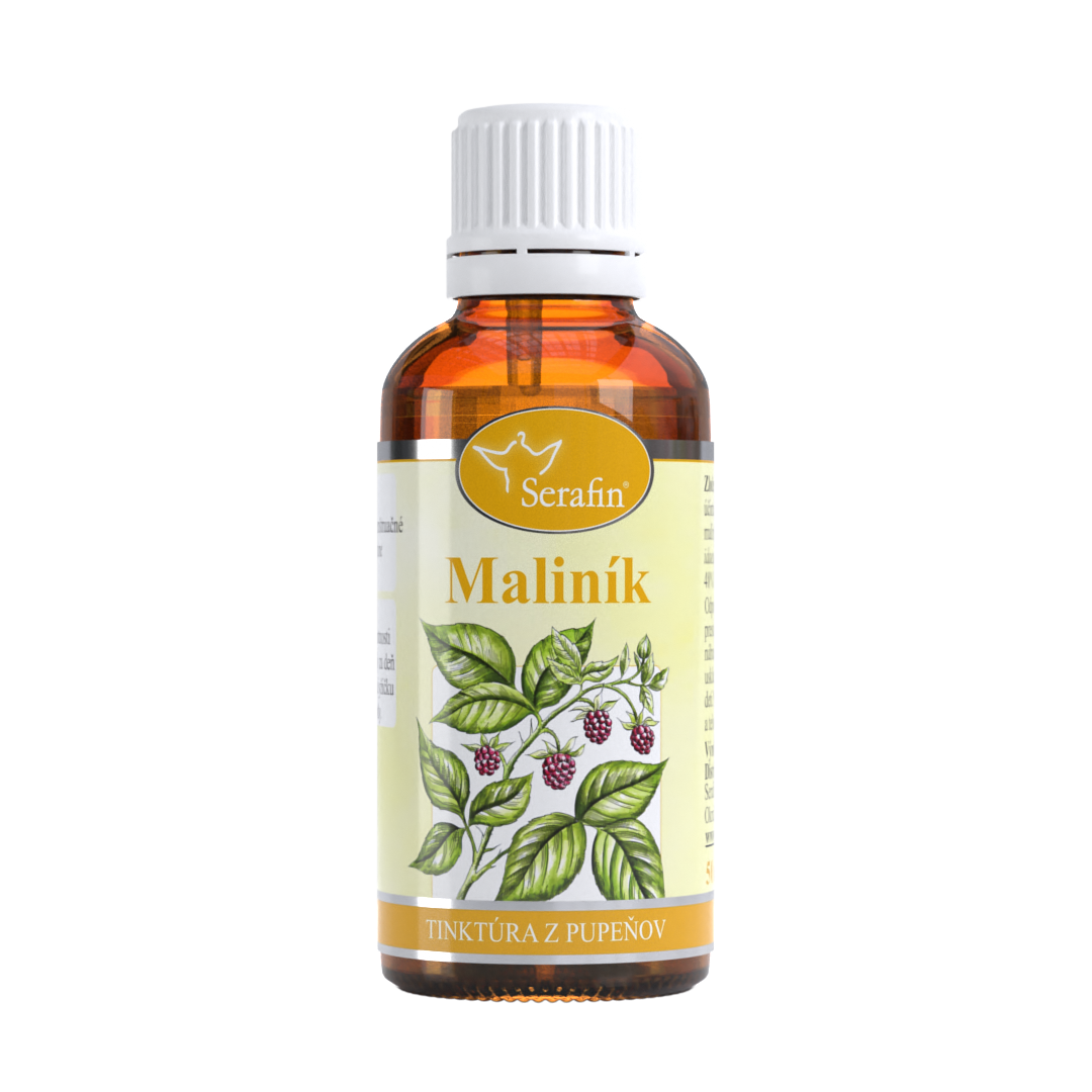 Malina – tinktúra z púčikov | Serafin byliny