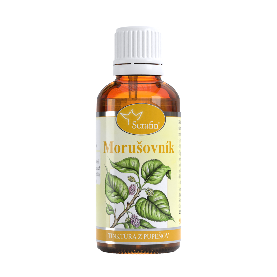 Morušovník – tinktúra z púčikov | Serafin byliny