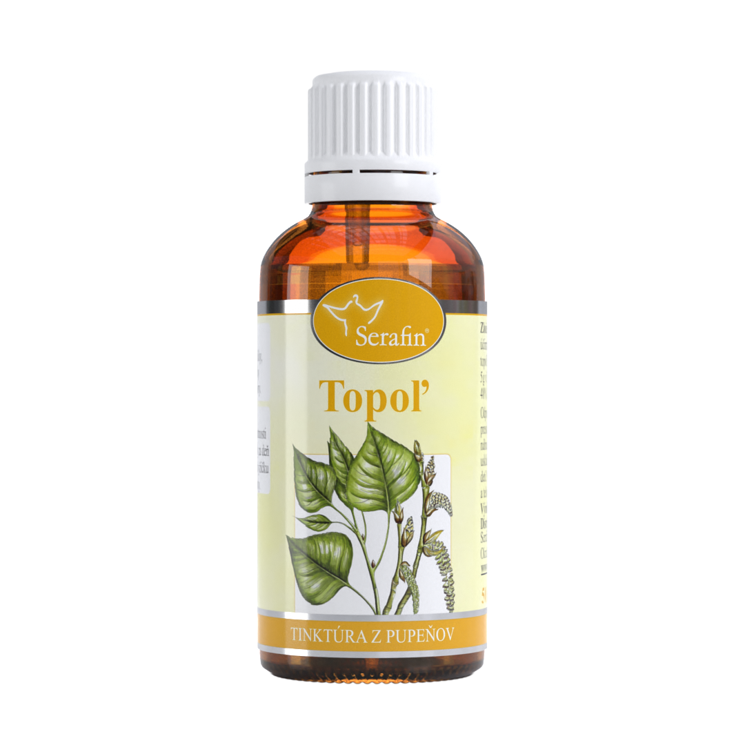 Topoľ – tinktúra z púčikov | Serafin byliny