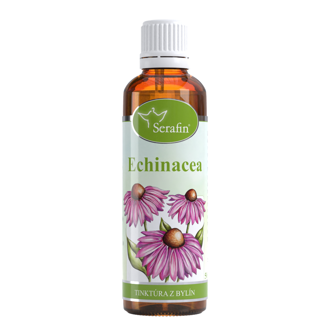 Echinacea – tinktúra z bylín | Serafin byliny