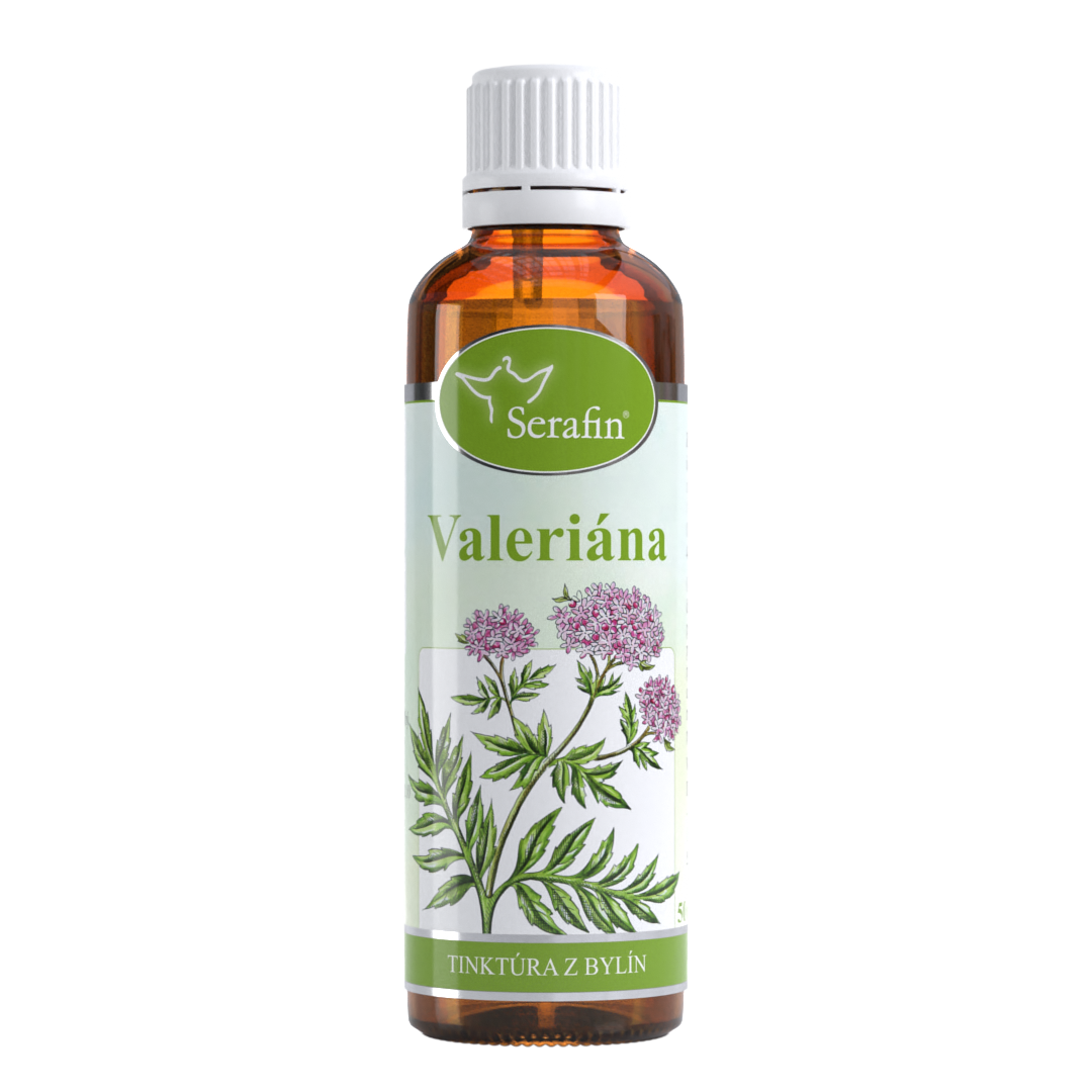 Valeriána – tinktúra z bylín | Serafin byliny