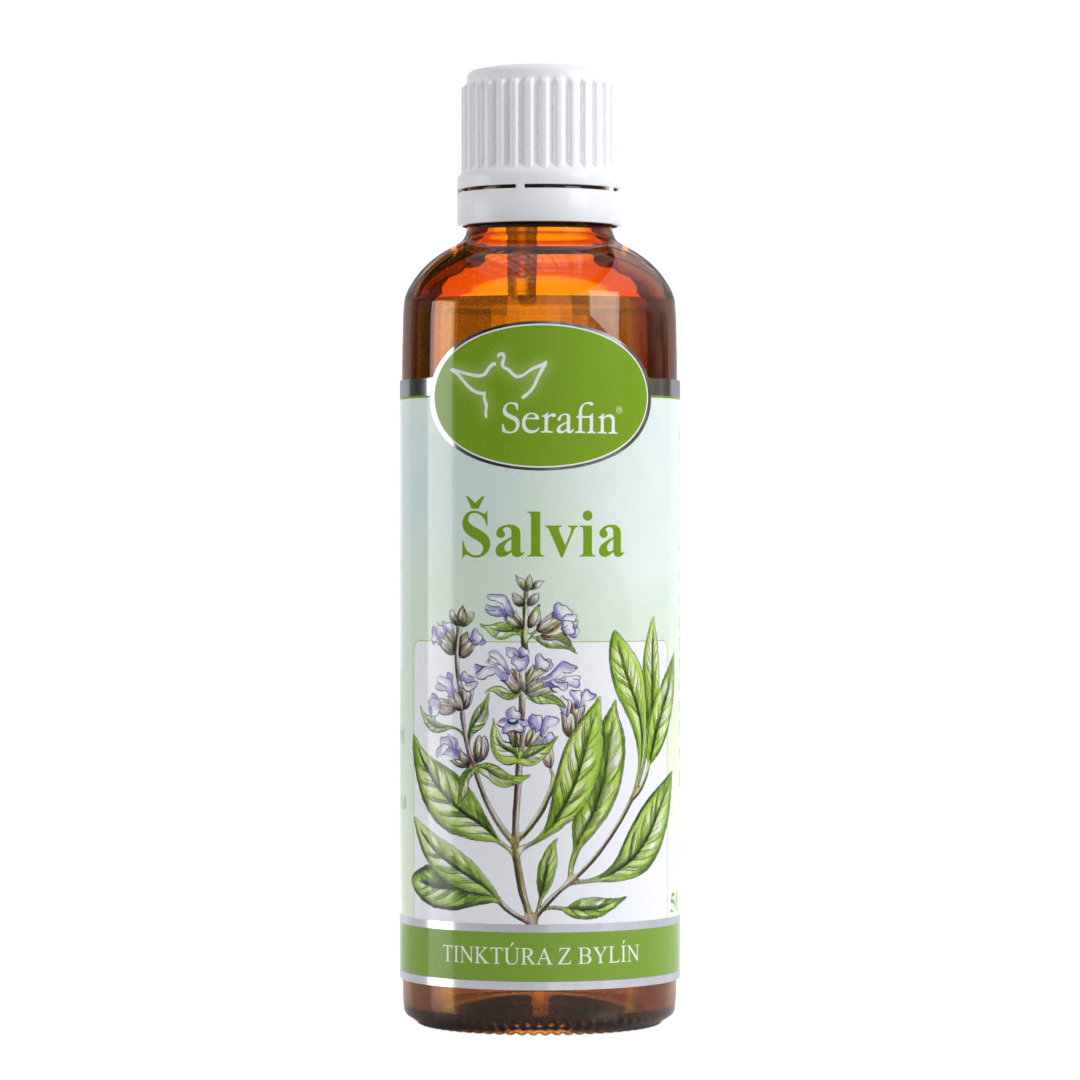 Šalvia – tinktúra z bylín | Serafin byliny