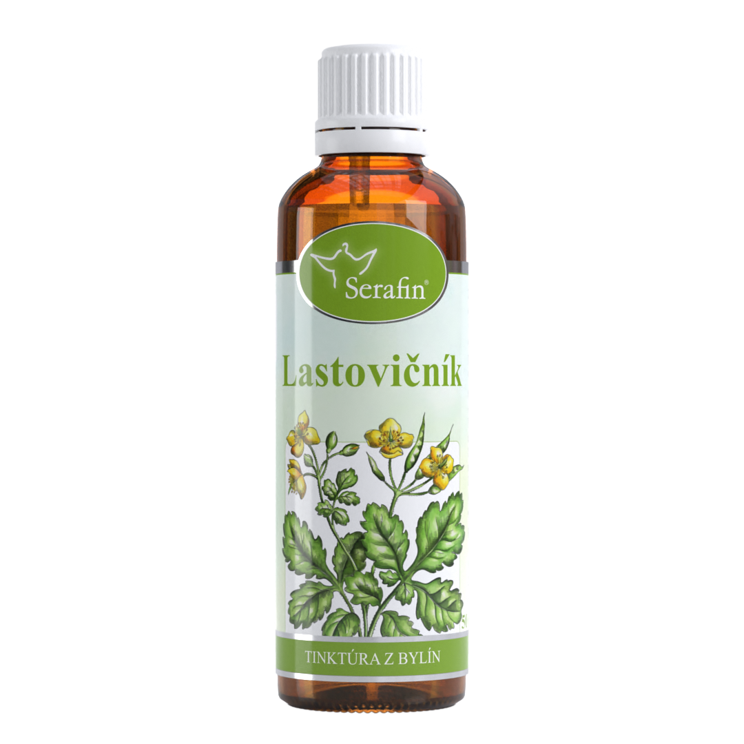 Lastovičník – tinktúra z bylín | Serafin byliny