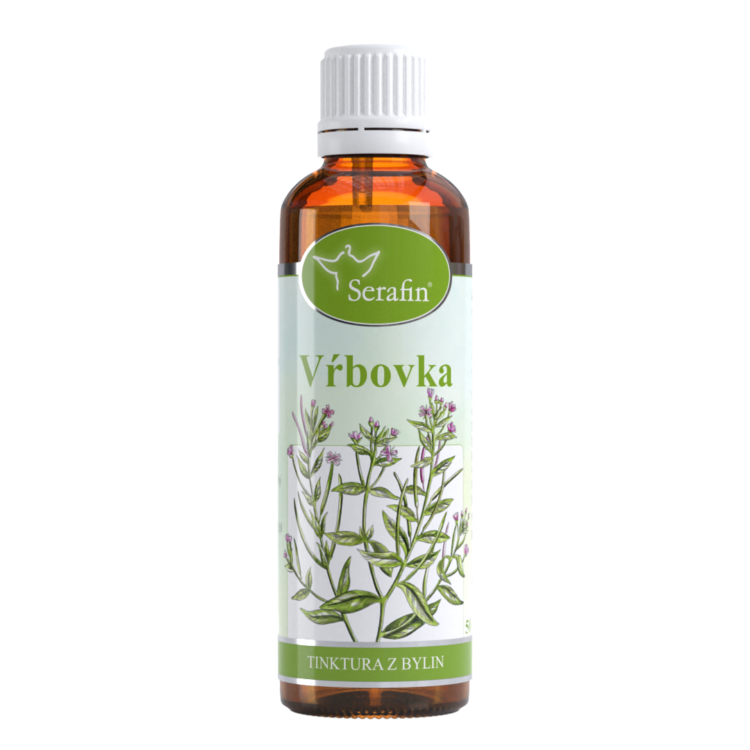 Vŕbovka – tinktúra z bylín | Serafin byliny