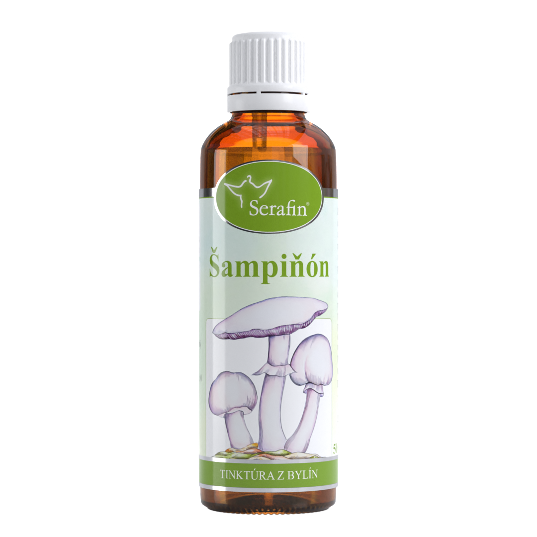 Šampiňón – tinktúra z bylín | Serafin byliny