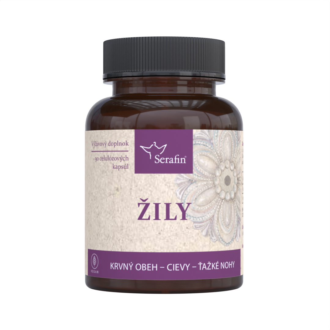 Žily | Serafin byliny
